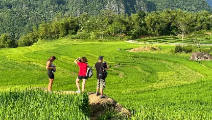 rice-field-in-pu-luong